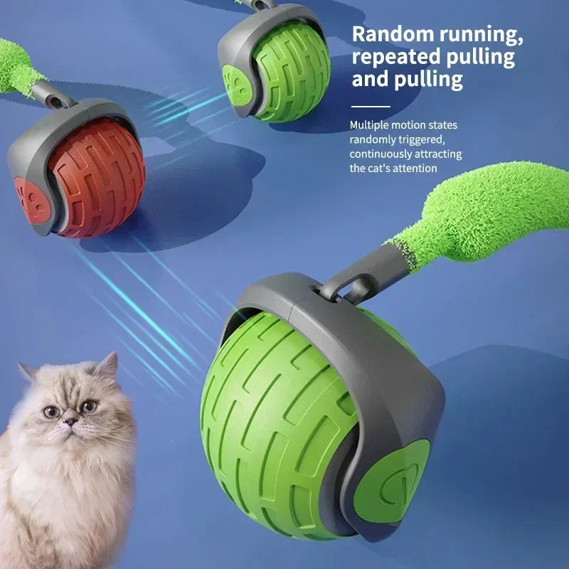 Smart Rechargeable Cat Interactive Ball Toy for Dogs and Cats