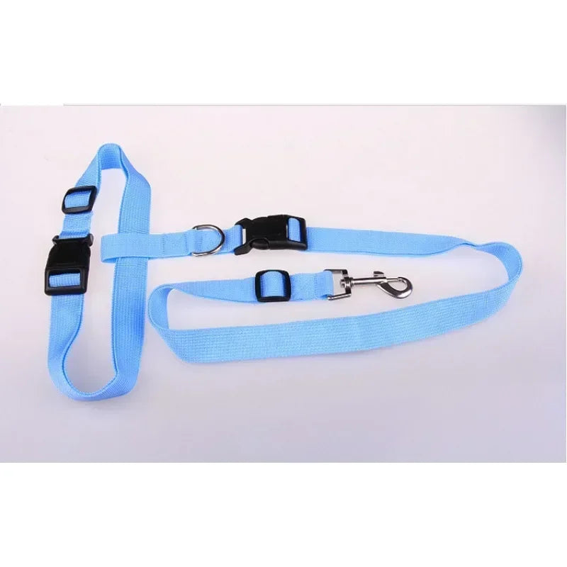 Adjustable Hands-Free Dog Leash for Walking and Jogging