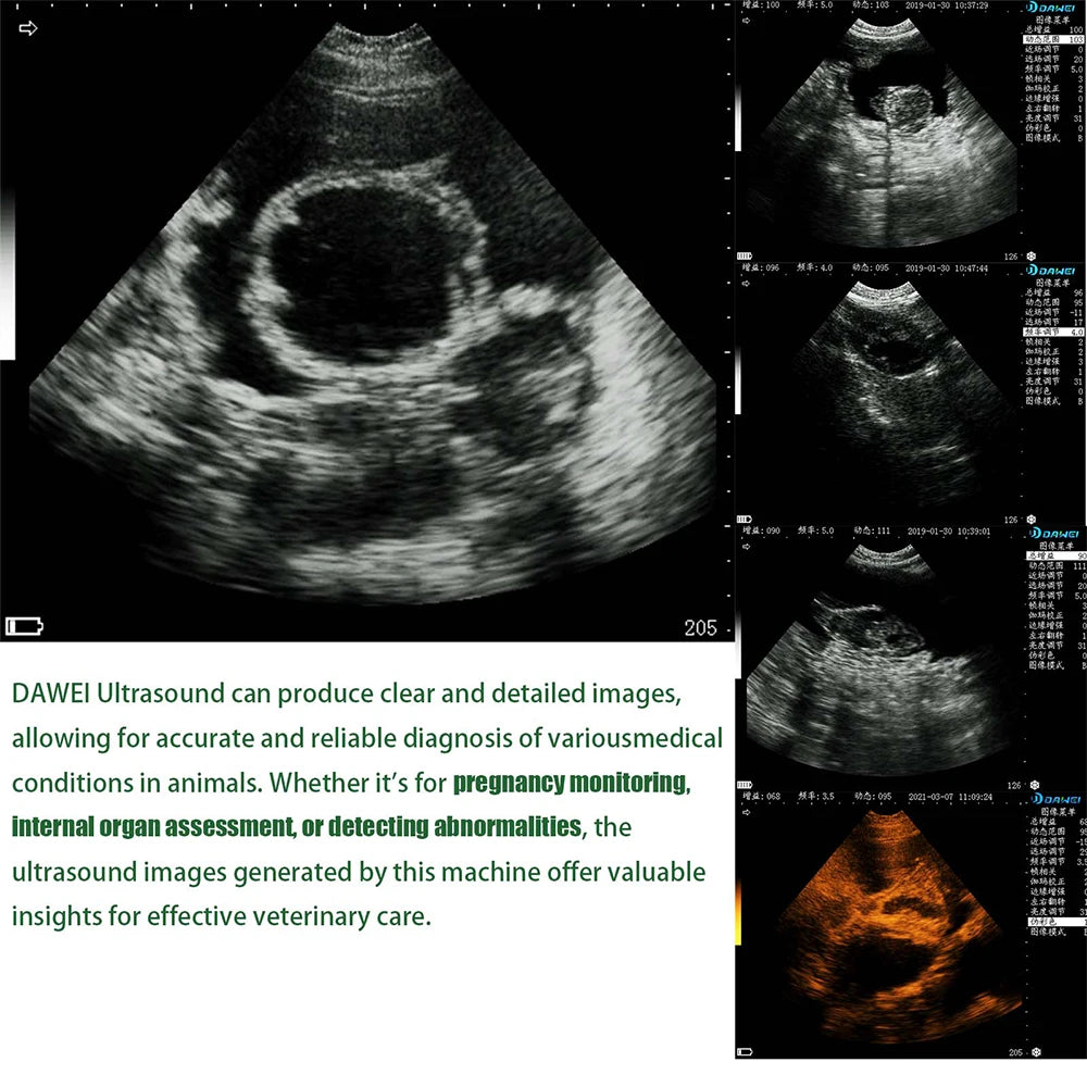 Dawei Veterinary Ultrasound Scanner With 3.5MHz Convex Probe
