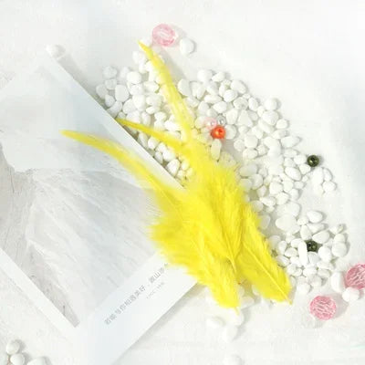 Hign-concerned Chicken Feathers For Crafts And Fly Tying