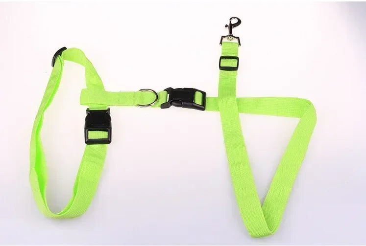 Adjustable Hands-Free Dog Leash for Walking and Jogging