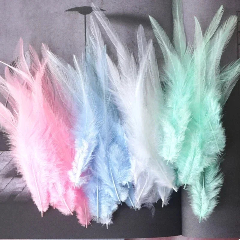 Hign-concerned Chicken Feathers For Crafts And Fly Tying