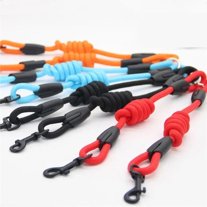 Guangdong Double Nylon Dog Leash With Twin Coupler